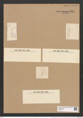 Plagiogramma pygmaeum Grev. (de-Toni-Nr.: Genus 83, Species 2922) Zeichnungen Sammlung Grunow Nr. 5911 (NHMW-BOT-W0374371)